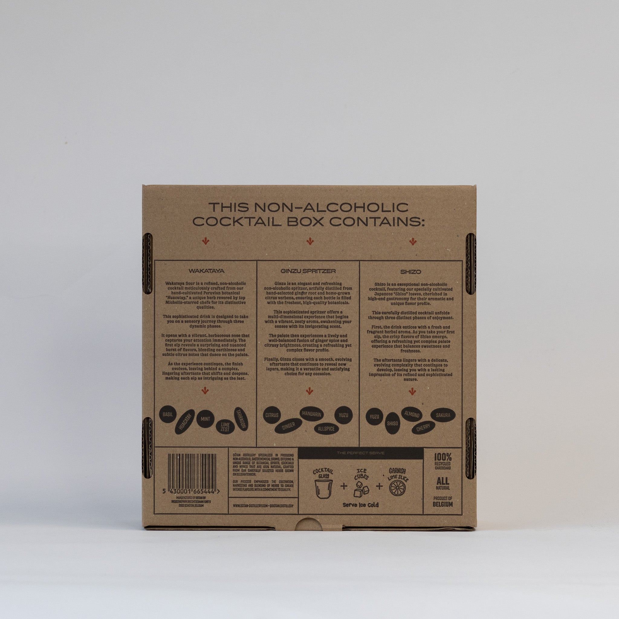 B@WBRICK シリーズ1 アソートメントボックス BeatBox Blue Razzberry Box | Corked Bixby